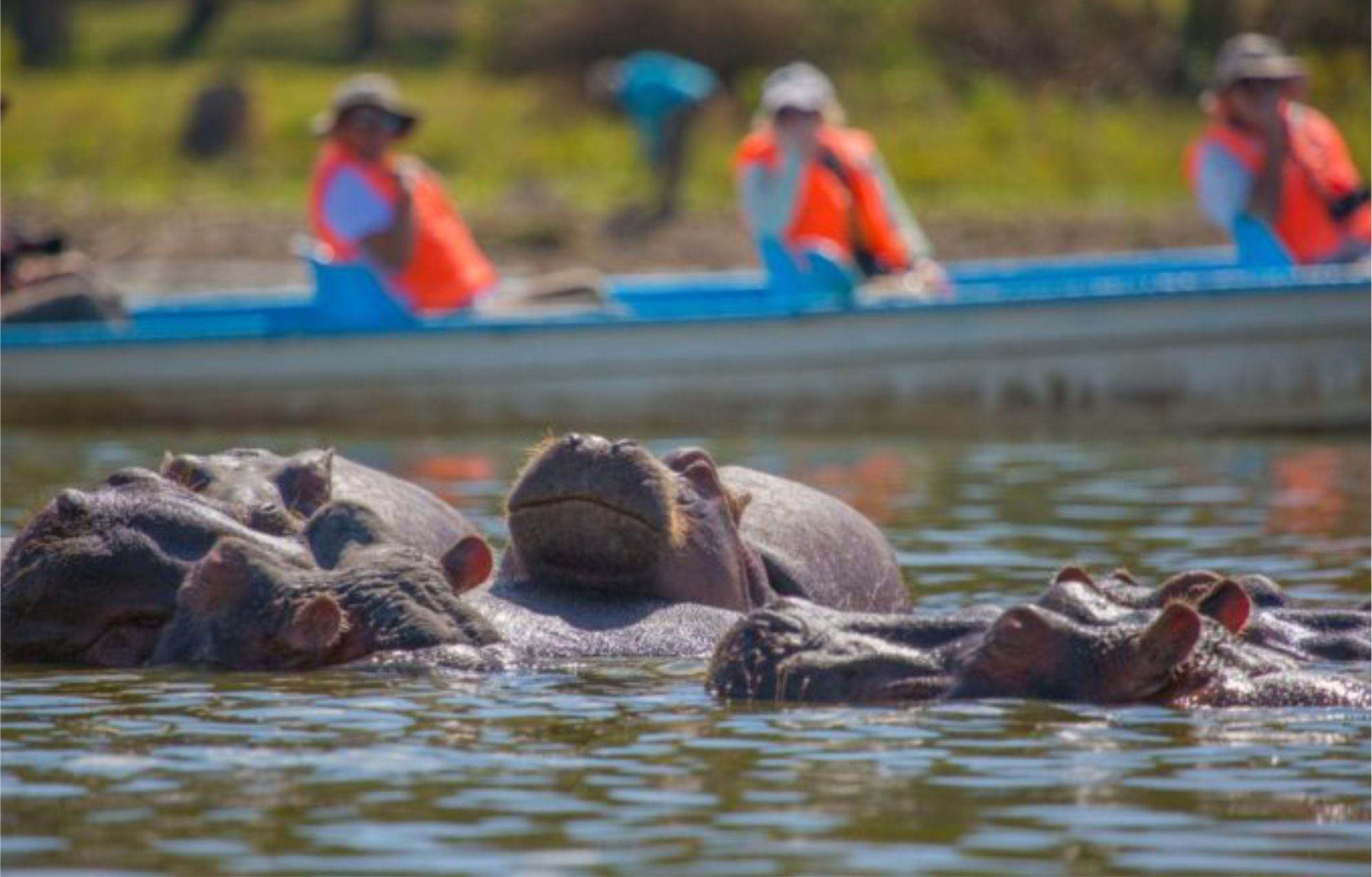 Lake Naivasha